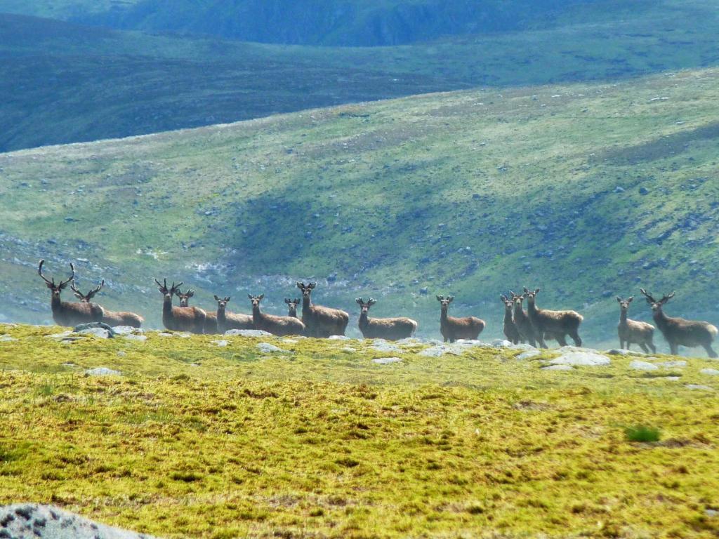 Braemar Youth Hostel ภายนอก รูปภาพ